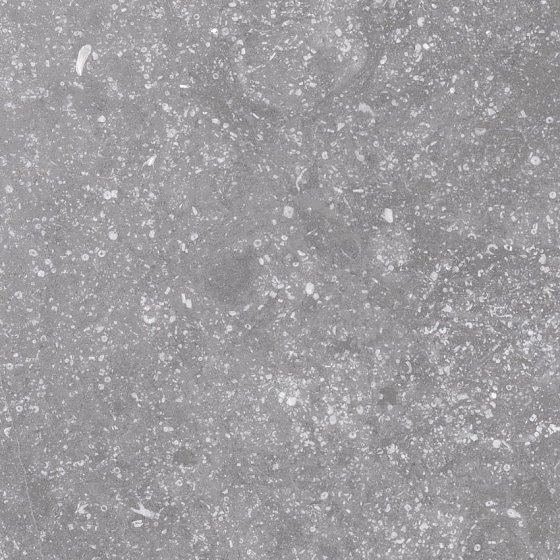 Керамогранит Equipe Coralstone Grey 23570, цвет серый, поверхность матовая, квадрат, 200x200