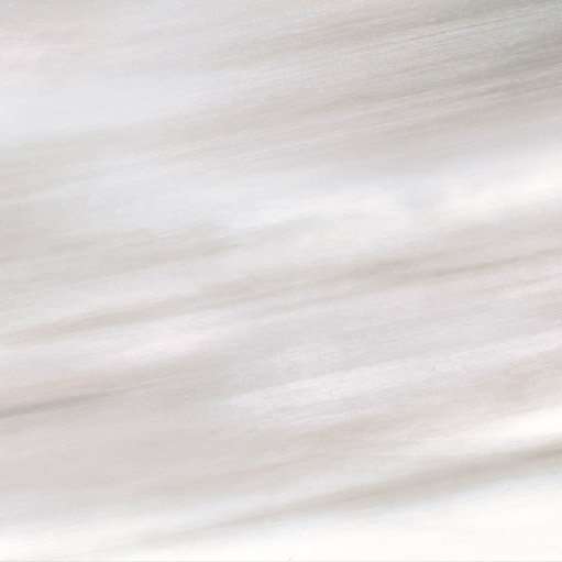 Керамогранит Roberto Cavalli Tanduk Grigio Lapp. 556833, цвет серый, поверхность лаппатированная, квадрат, 600x600
