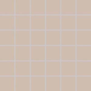 Мозаика Rako Color Two GDM05108 (5x5), цвет бежевый, поверхность матовая, квадрат, 300x300