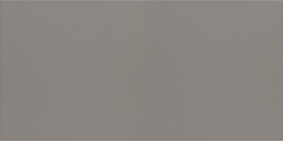 Керамогранит Paradyz Bazo Grys Gres Monokolor Mat., цвет серый, поверхность матовая, прямоугольник, 298x598
