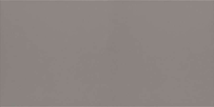 Керамогранит Paradyz Bazo Grys Gres Monokolor Mat., цвет серый, поверхность матовая, прямоугольник, 298x598