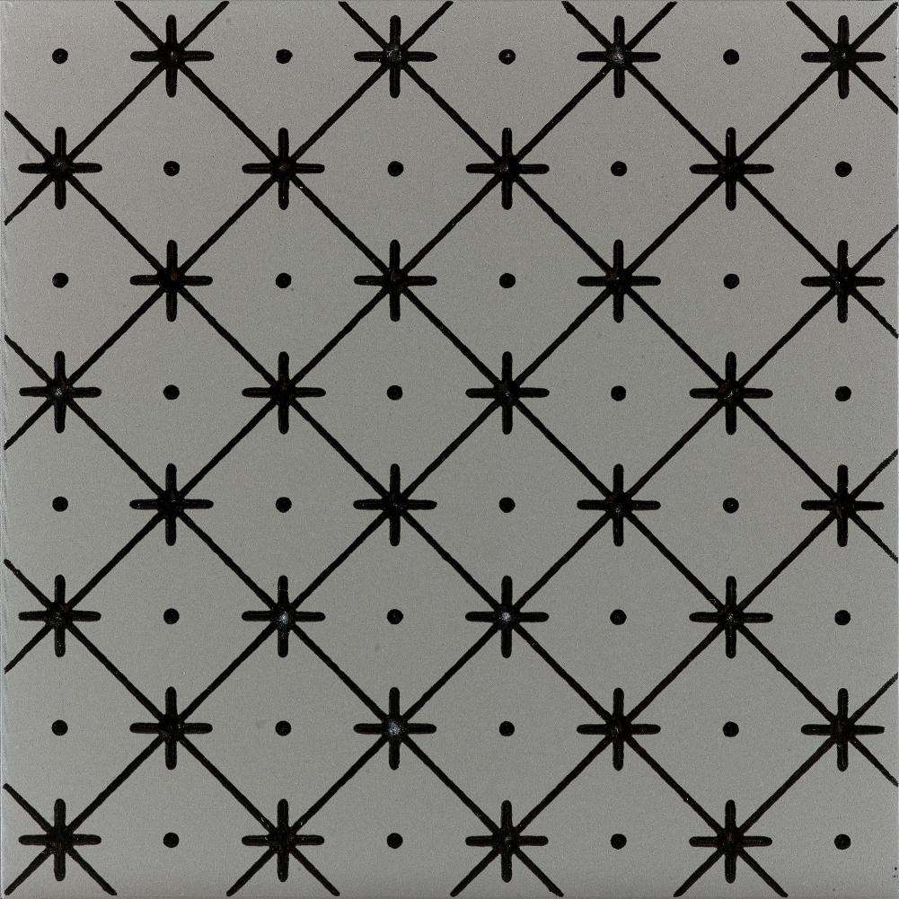 Керамогранит Ornamenta Terra Mia Riggiola TM2020RG, цвет серый, поверхность матовая, квадрат, 200x200