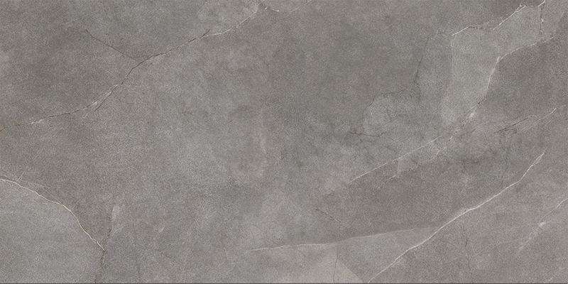Керамогранит Ariana Storm Grey PF60004009, цвет серый, поверхность матовая, прямоугольник, 300x600