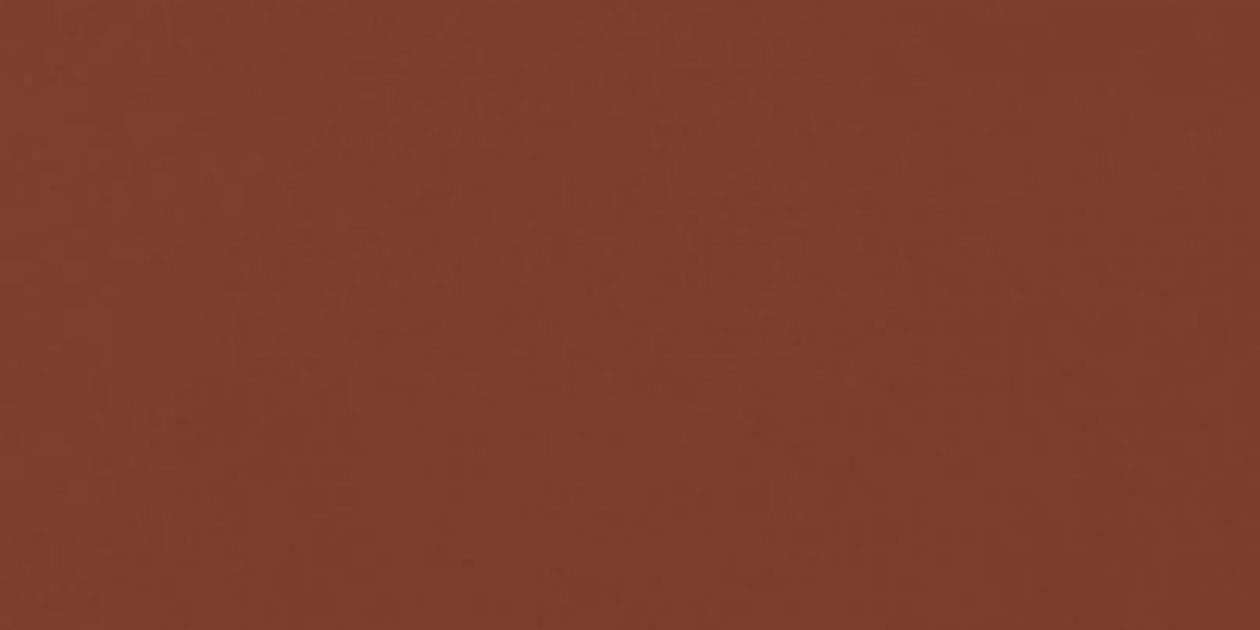 Спецэлементы Cerrad Rot Подступенок, цвет терракотовый, поверхность матовая, прямоугольник, 148x300