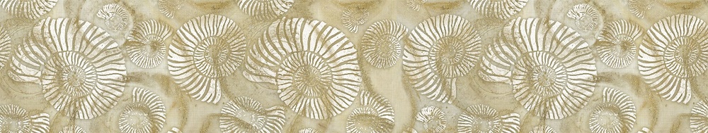 Бордюры Terracotta Shell Ammonite TD-SH-B-AM, цвет бежевый, поверхность глянцевая, прямоугольник, 76x400