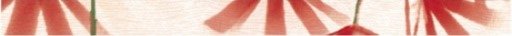 Бордюры Cinca Helena Pearl Penelope 0000/761, цвет разноцветный, поверхность матовая, прямоугольник, 30x450