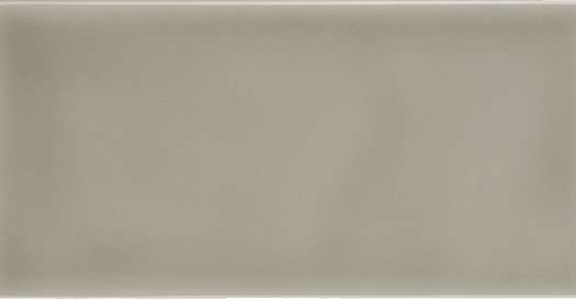 Керамическая плитка Adex ADST1018 Liso Graystone, цвет серый, поверхность глянцевая, прямоугольник, 73x148