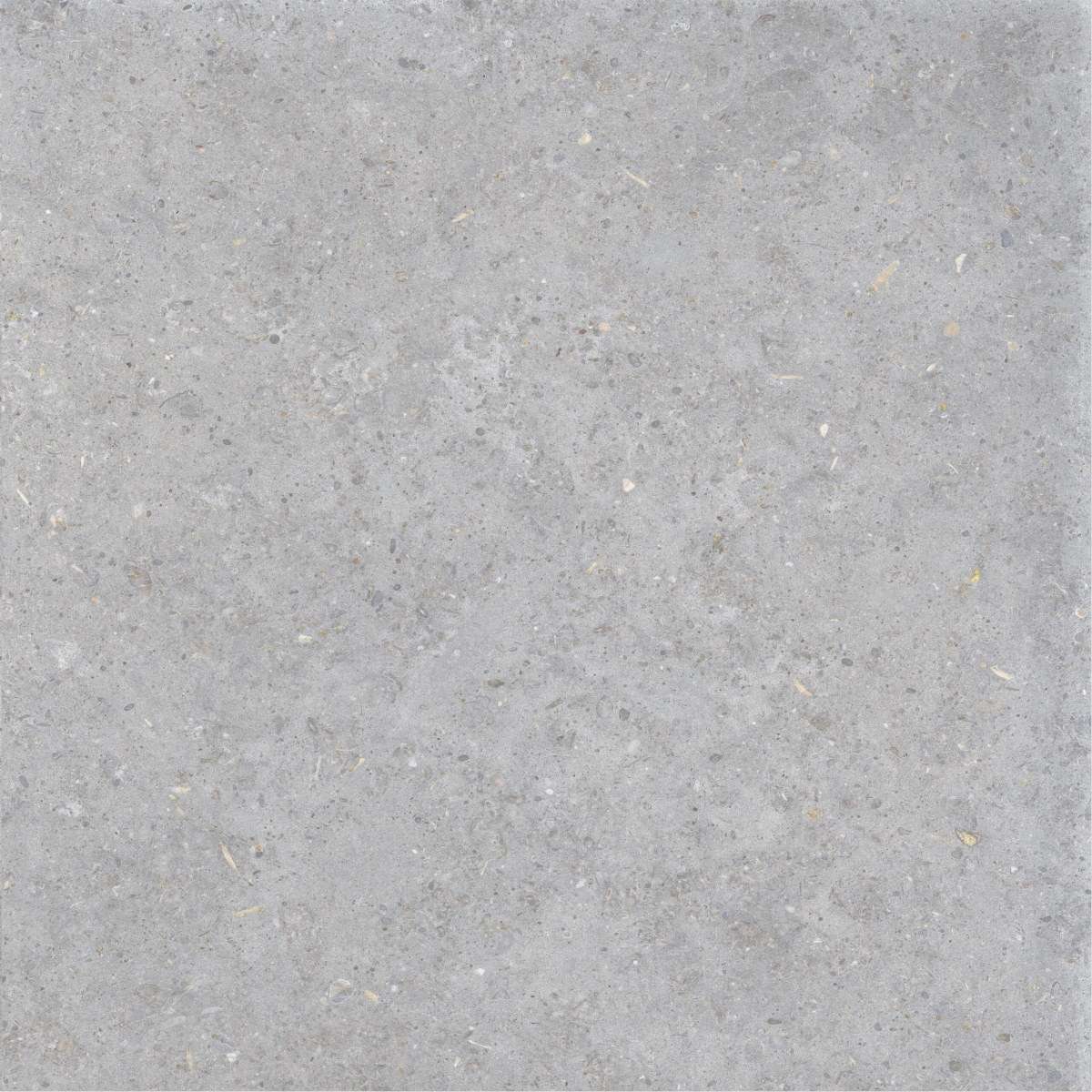 Керамогранит La Fabbrica Agglomerate Agate Nat/Ret 160013, цвет серый, поверхность матовая, квадрат, 600x600