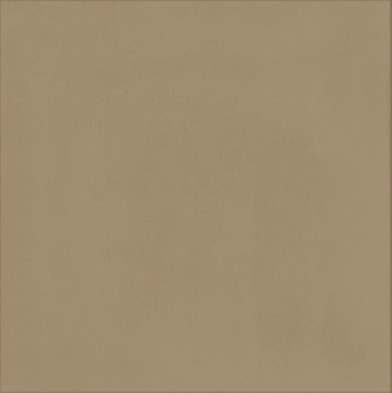 Керамогранит Ragno Contrasti Beige R7GT, цвет коричневый, поверхность матовая, квадрат, 200x200