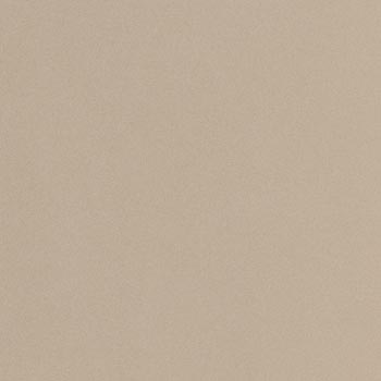 Керамогранит Imola Parade PRTU 120B RM, цвет бежевый, поверхность матовая, квадрат, 1200x1200