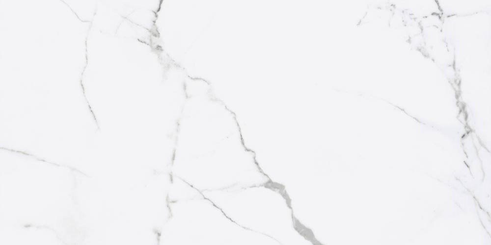 Керамогранит Fanal Iceberg 1198 Nplus, цвет белый, поверхность полированная, прямоугольник, 600x1200