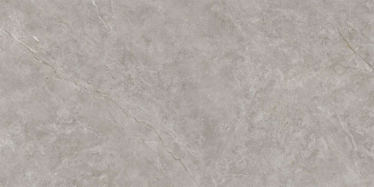 Широкоформатный керамогранит Urbatek Fiori Di Bosco Silk 100264902, цвет серый, поверхность сатинированная, прямоугольник, 1200x2500