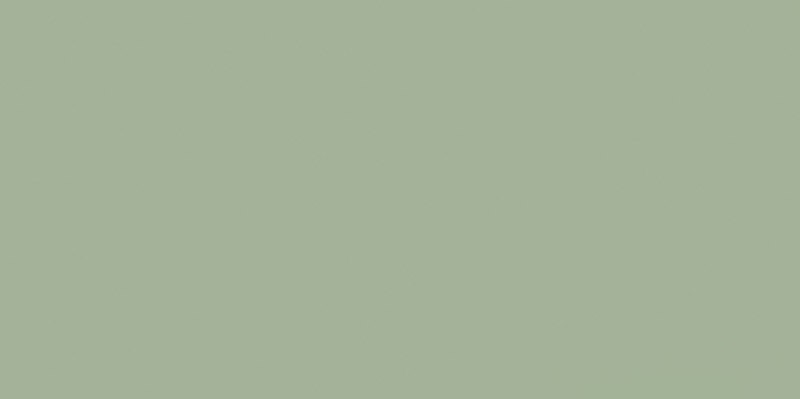 Керамическая плитка Paradyz Feelings Green Sciana Rekt., цвет зелёный, поверхность полированная, прямоугольник, 298x598