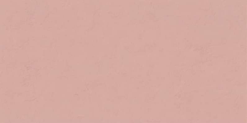 Керамическая плитка ABK Wide&Style Mini Phard Ret PF60008236, цвет розовый, поверхность матовая, прямоугольник, 600x1200