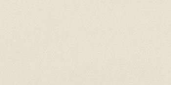 Керамогранит Imola Parade PRDE 36W RM, цвет белый, поверхность матовая, прямоугольник, 300x600