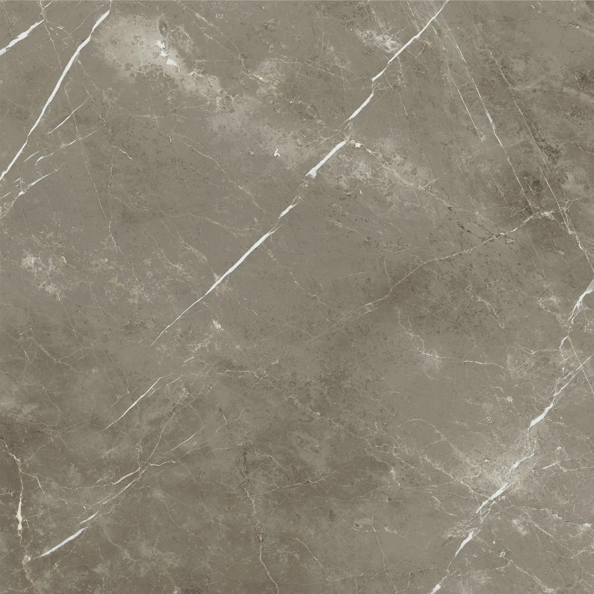 Широкоформатный керамогранит Italon Stellaris Tuscania Grey 600010002388, цвет серый, поверхность натуральная, квадрат, 1200x1200