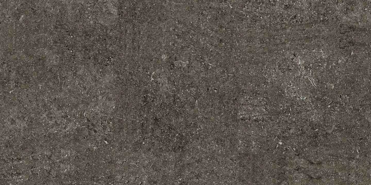 Широкоформатный керамогранит Casa Dolce Casa Sensi Brown Fossil 6mm 768585, цвет коричневый, поверхность матовая, прямоугольник, 1200x2400