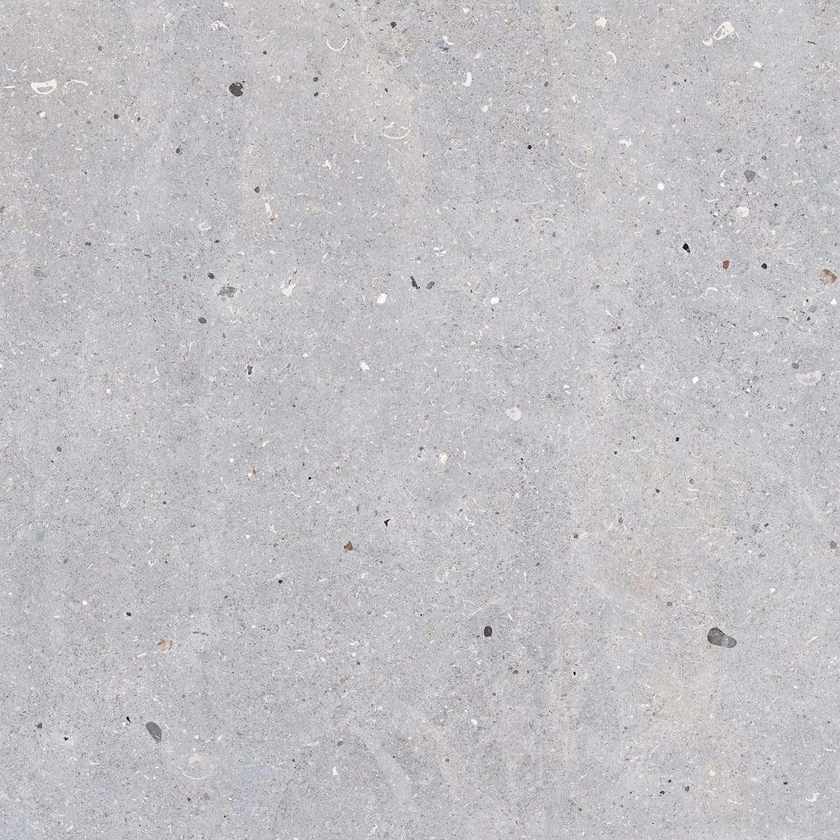 Керамогранит Codicer Meesel Silver, цвет серый, поверхность матовая, квадрат, 660x660