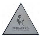 Декоративные элементы Petracers Triangolo Logo su Platino Lux, цвет серый, поверхность глянцевая, квадрат, 170x170