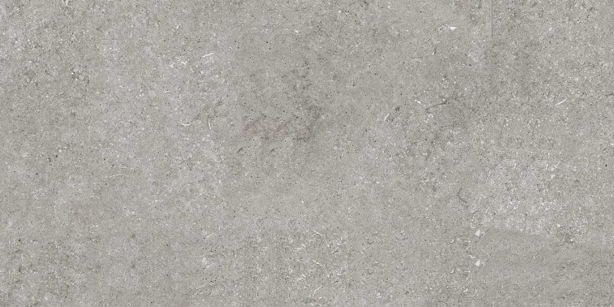 Керамогранит Casa Dolce Casa Sensi Grey Fossil R+Ptv 768317, цвет серый, поверхность противоскользящая, прямоугольник, 600x1200