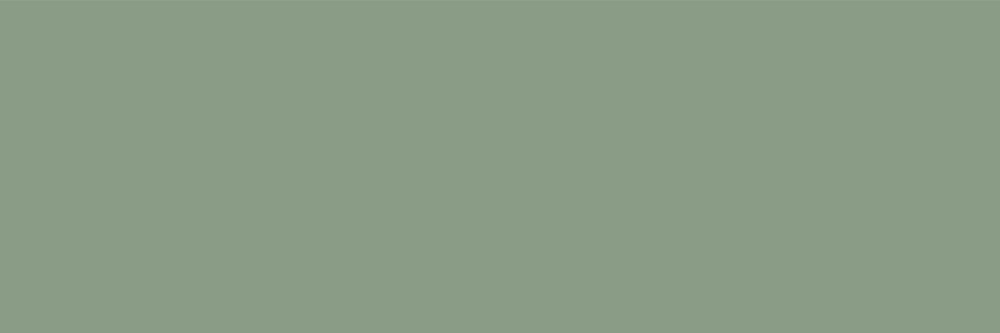 Керамическая плитка Creto Ekzotic Olive NB_0403, цвет зелёный, поверхность матовая, прямоугольник, 300x900