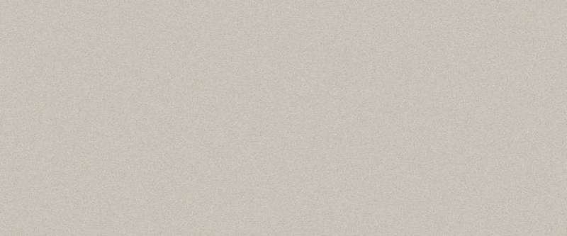 Широкоформатный керамогранит Levantina Basic Grey, цвет серый, поверхность матовая, прямоугольник, 3000x1000