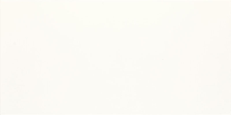 Керамическая плитка Paradyz Fiori Bianco Sciana, цвет белый, поверхность глянцевая, прямоугольник, 300x600