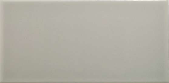 Керамическая плитка Adex ADNE1094 Liso PB Silver Mist, цвет серый, поверхность глянцевая, кабанчик, 100x200