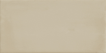 Керамическая плитка Imola GESSO 1020AR, цвет серый, поверхность матовая, кабанчик, 100x200