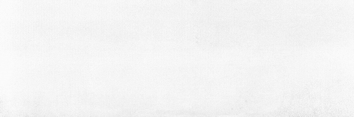 Керамическая плитка Pamesa Brienz Ice, цвет белый, поверхность матовая, прямоугольник, 333x1000