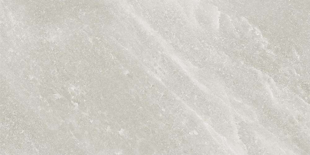 Керамогранит Provenza Salt Stone Grey Ash Naturale ELTR, цвет серый, поверхность натуральная, прямоугольник, 600x1200