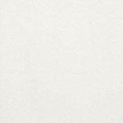 Керамическая плитка Brennero Mono Bianco, цвет белый, поверхность матовая, квадрат, 200x200