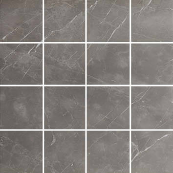 Мозаика Pamesa Cromat Piave Malla Altair Argent, цвет серый, поверхность полированная, квадрат, 300x300