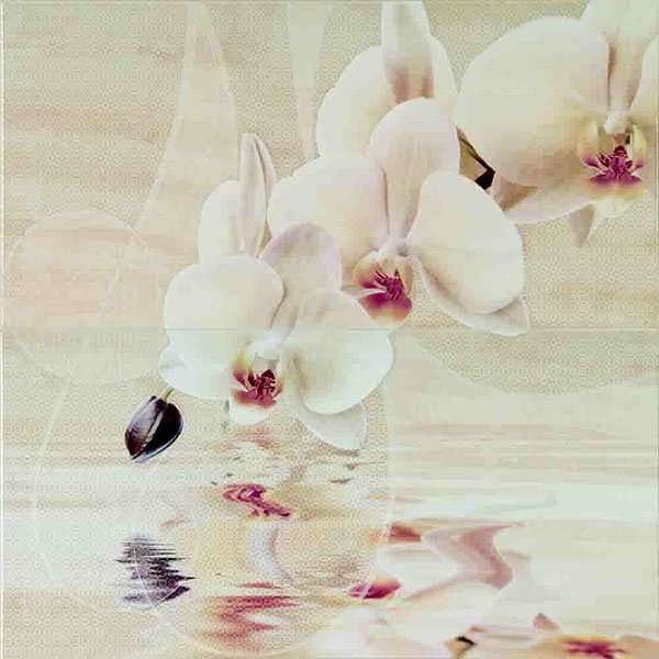 Панно Aranda Dec. Orchid SET.2, цвет бежевый, поверхность глянцевая, квадрат, 500x500