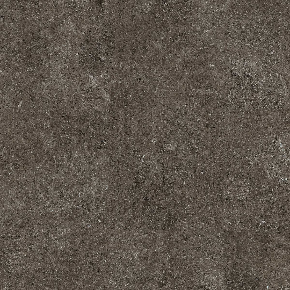 Керамогранит Casa Dolce Casa Sensi Brown Fossil 6mm 768560, цвет коричневый, поверхность матовая, квадрат, 1200x1200