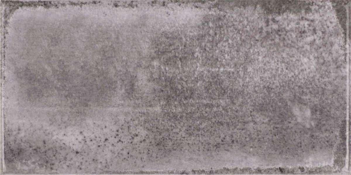 Керамическая плитка Fabresa Vita Grafite, цвет коричневый, поверхность глянцевая, кабанчик, 100x200
