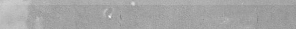Бордюры Wow Fez Bullnose Grey Gloss 114744, цвет серый, поверхность глянцевая, прямоугольник, 35x125