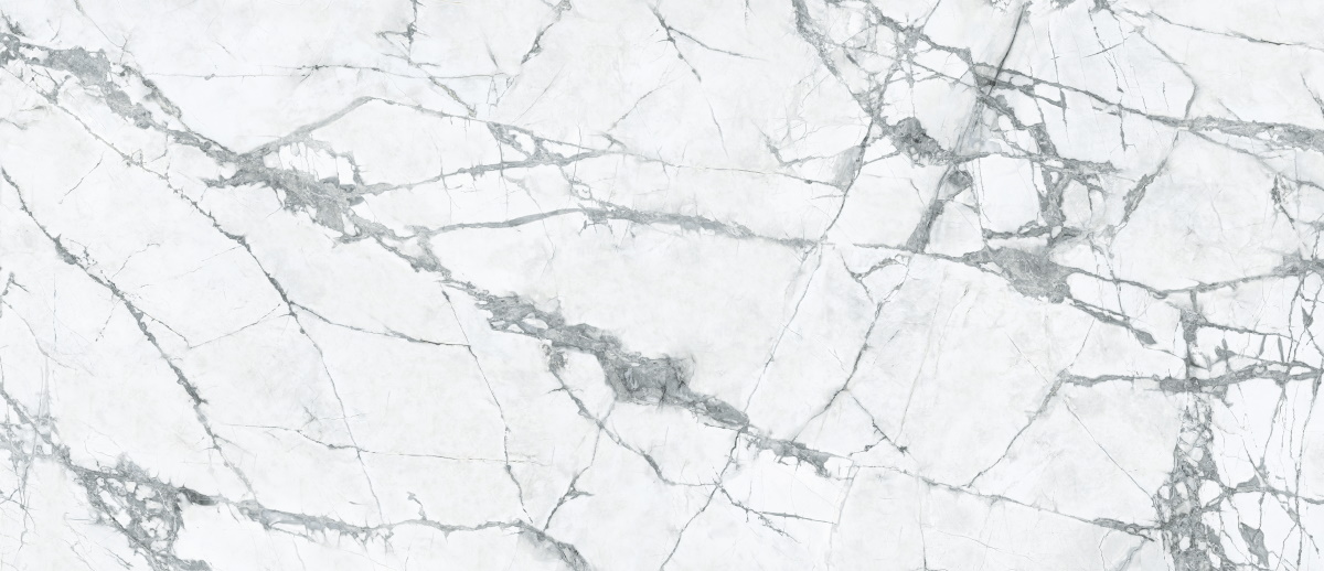 Широкоформатный керамогранит Caesar Anima Ever Magnificent White Luc Ret AFAZ, цвет серый, поверхность полированная, прямоугольник, 1200x2780