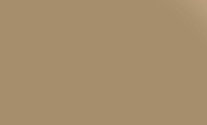 Керамическая плитка Pieza Ceramica ColorIt Св. коричневая CL092033G, цвет коричневый, поверхность глянцевая, прямоугольник, 200x330