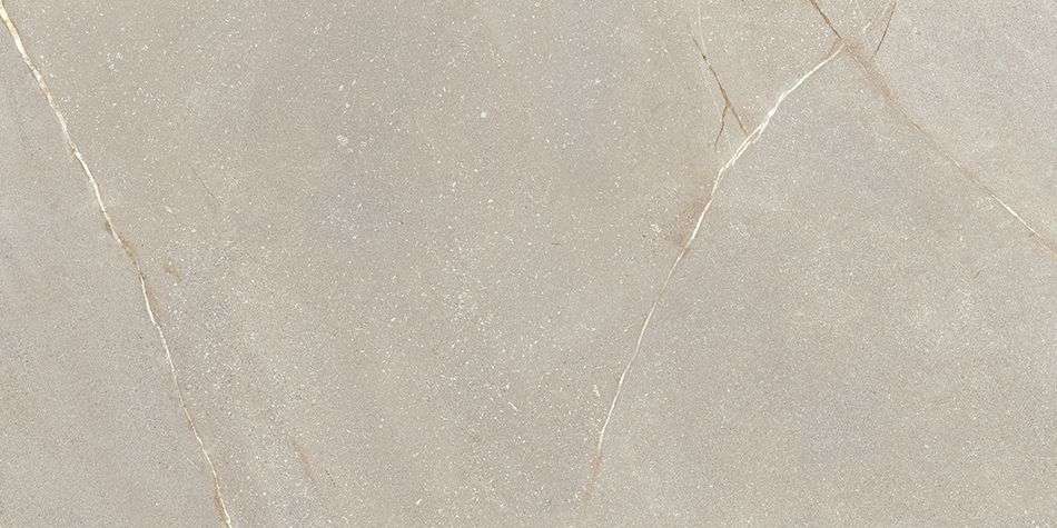 Керамогранит Colorker Madison Bone, цвет серый, поверхность матовая, прямоугольник, 595x1192