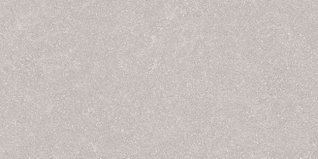Керамогранит Vives Aston Nacar-R, цвет серый, поверхность матовая, прямоугольник, 443x893