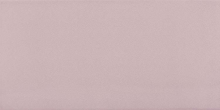 Керамическая плитка Tecniceramica Orquideas Noa Purpura, цвет фиолетовый, поверхность глянцевая, прямоугольник, 250x500