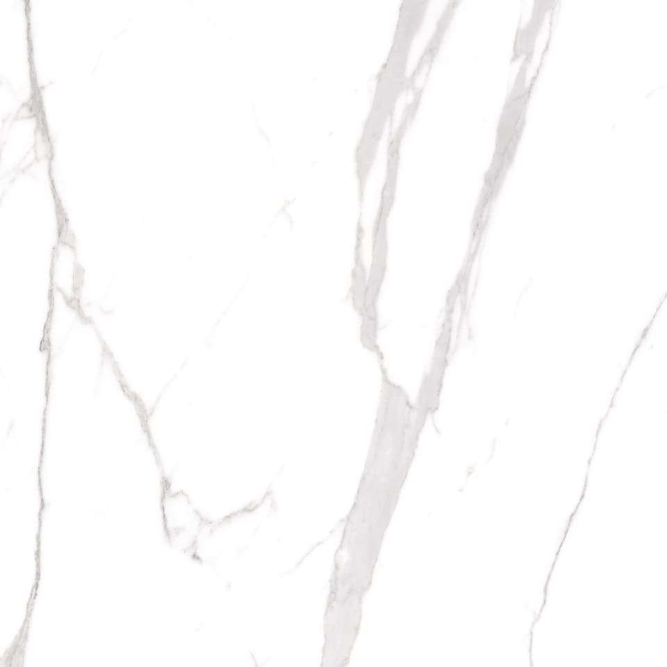 Керамогранит Cerdomus Omnia Statuario Levigato 88949, цвет белый серый, поверхность лаппатированная, квадрат, 600x600