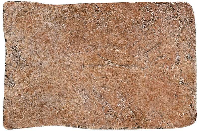 Керамогранит Settecento Maya Azteca Touloum Granato B68105, цвет коричневый, поверхность матовая, прямоугольник, 327x490