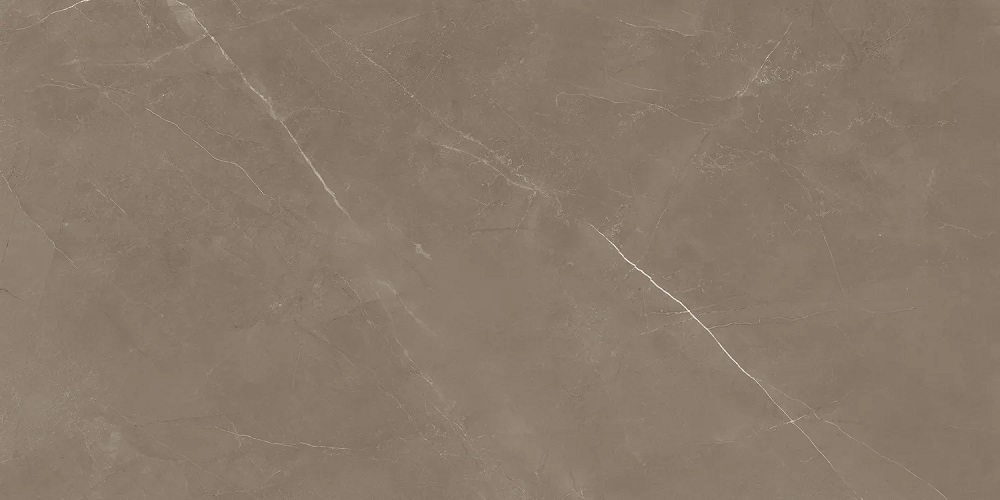 Керамогранит Marjan Tile Stone Pietra Active Gray, цвет коричневый, поверхность полированная, прямоугольник, 600x1200