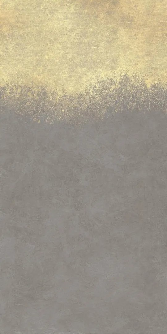 Декоративные элементы La Faenza Vis VIS6 DK 240MG, цвет серый золотой, поверхность матовая, прямоугольник, 1200x2400