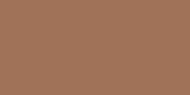 Керамогранит Baldocer Montmartre Terre Rect, цвет коричневый, поверхность матовая, прямоугольник, 600x1200