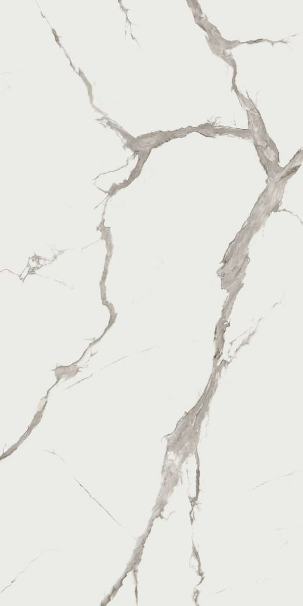 Широкоформатный керамогранит ABK Statuario Versilia Slab A 12mm Soft PF60003774, цвет белый серый, поверхность матовая, прямоугольник, 1635x3230