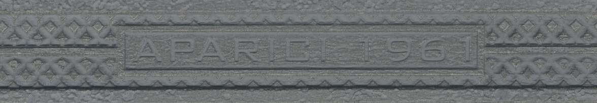 Бордюры Aparici Steel Grey Cf-A, цвет серый, поверхность матовая, прямоугольник, 45x253
