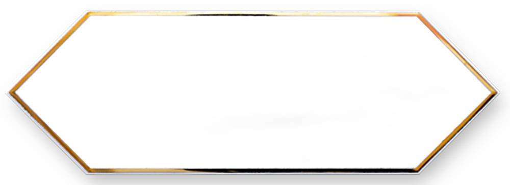 Декоративные элементы Maritima Zenith Decor Gold White, цвет белый золотой, поверхность глянцевая, шестиугольник, 100x300
